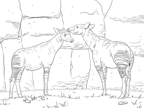 Two Okapis Coloring Page